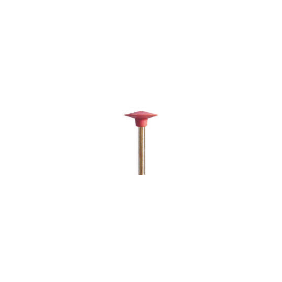 Fraises en silicone pour polir la céramique - Ø 13 mm x 2 mm - DIAN FONG - Dental Coop