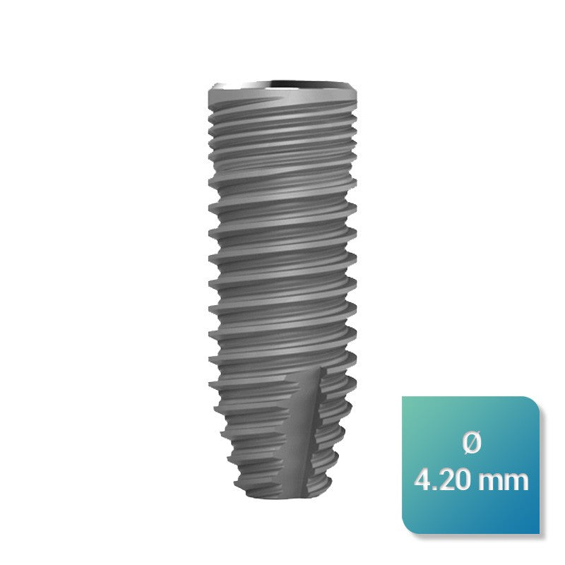 Safe Regular 4,20 mm de diamètre - uofti.com