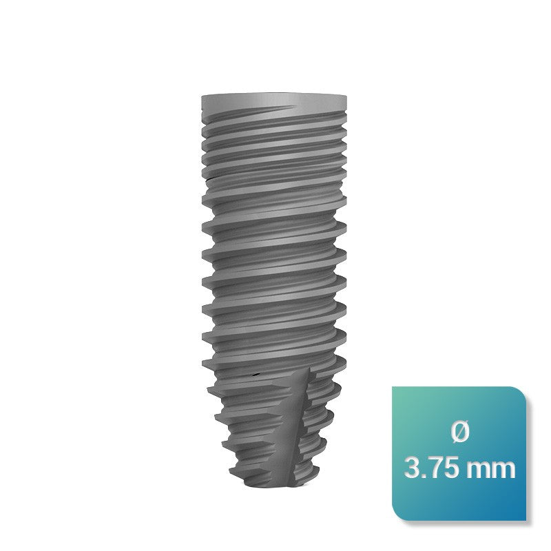 Safe Regular 3,75 mm de diamètre - uofti.com