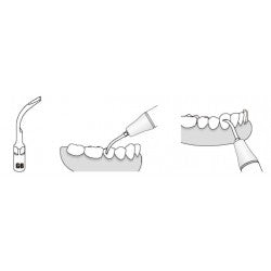 Insert GD6 compatible Satelec ultrarésistant UR - WOODPECKER - uofti.com