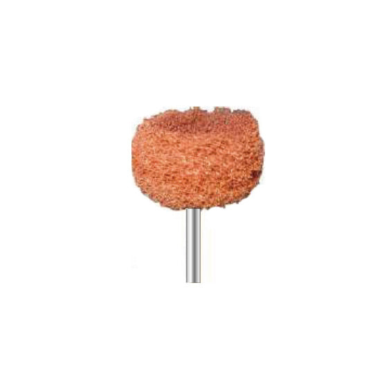 Brosses de polissage - Violet fin - Ø 25 mm - Dian Fong - Dental Coop