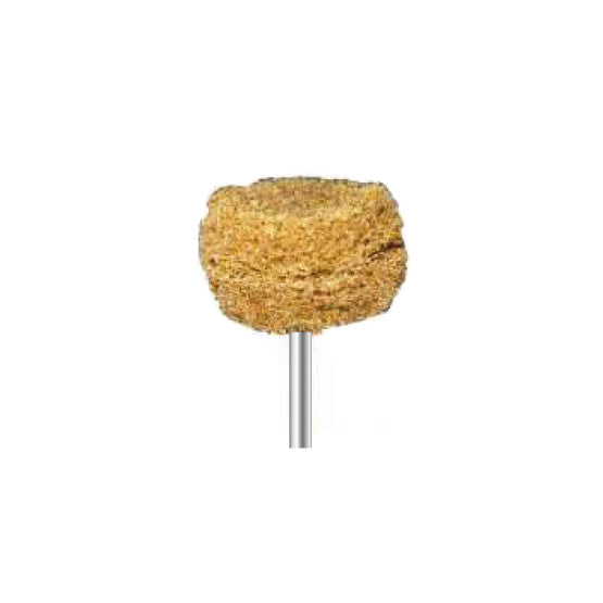 Brosses de polissage - Marron moyen - Ø 25 mm - Dian Fong - Dental Coop