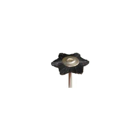 Brosses de polissage - Poils épais - Ø 22 mm - DIAN FONG - Dental Coop
