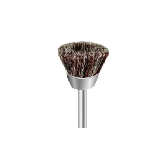 Brosses de polissage - Poils - Ø 12 mm - DIAN FONG - Dental Coop