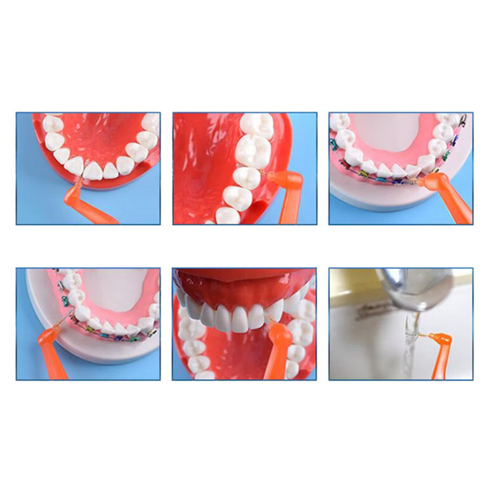 Brosse interproximale avec cure-dent x8 pièces - CoralClean - uofti.com