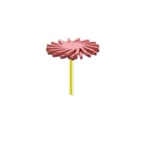 Fraises de polissage diamantées - DIAN FONG - Dental Coop
