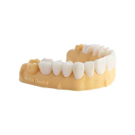 Résine d’impression 3D dentaire pour modèles 1kg – DENTAL MODEL HP - ArmaResin - uofti.com