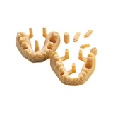 Résine d’impression 3D dentaire pour modèles 1kg – DENTAL MODEL HP - ArmaResin - uofti.com