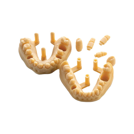 Résine d’impression 3D dentaire pour modèles 1kg – DENTAL MODEL HP - ArmaResin - uofti.com