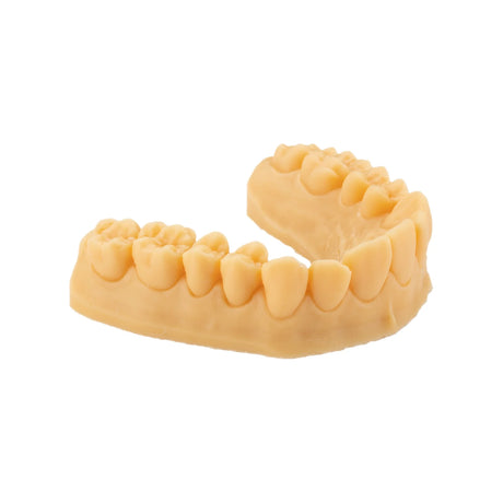 Résine d’impression 3D dentaire pour modèles 1kg – DENTAL MODEL HP - ArmaResin - uofti.com
