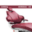 Fauteuil dentaire 16 coloris - CARE 33 - Runyes - uofti.com