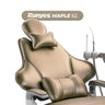 Fauteuil dentaire ambidextre - Maple 62 - Runyes