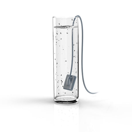 Capteur intra-oral X-ray sensor - XPECT VISION - uofti.com