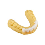 Résine 3D gingivale pour impression en 3D 1kg - GINGIVA - ArmaResin - uofti.com