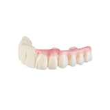 Résine 3D longue durée pour bridges implantaires provisoires 1kg - TEMP ULTRA - ArmaResin - uofti.com
