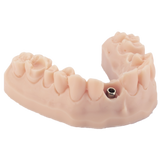 Resina de impresión 3D dental para modelos 1kg – DENTAL MODEL HP - ArmaResin