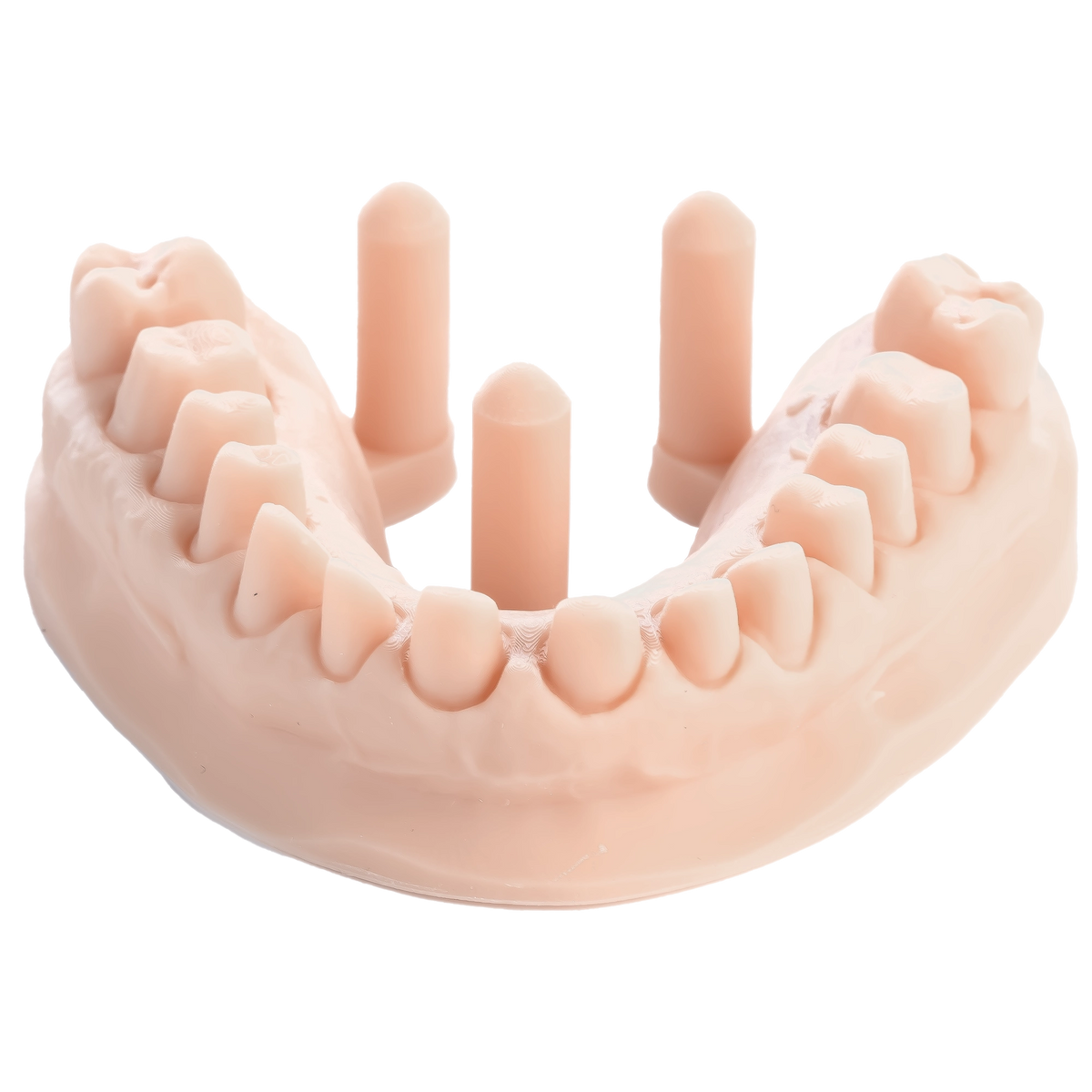 Resina de impresión 3D dental para modelos 1kg – DENTAL MODEL HP - ArmaResin