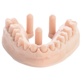Resina de impresión 3D dental para modelos 1kg – DENTAL MODEL HP - ArmaResin