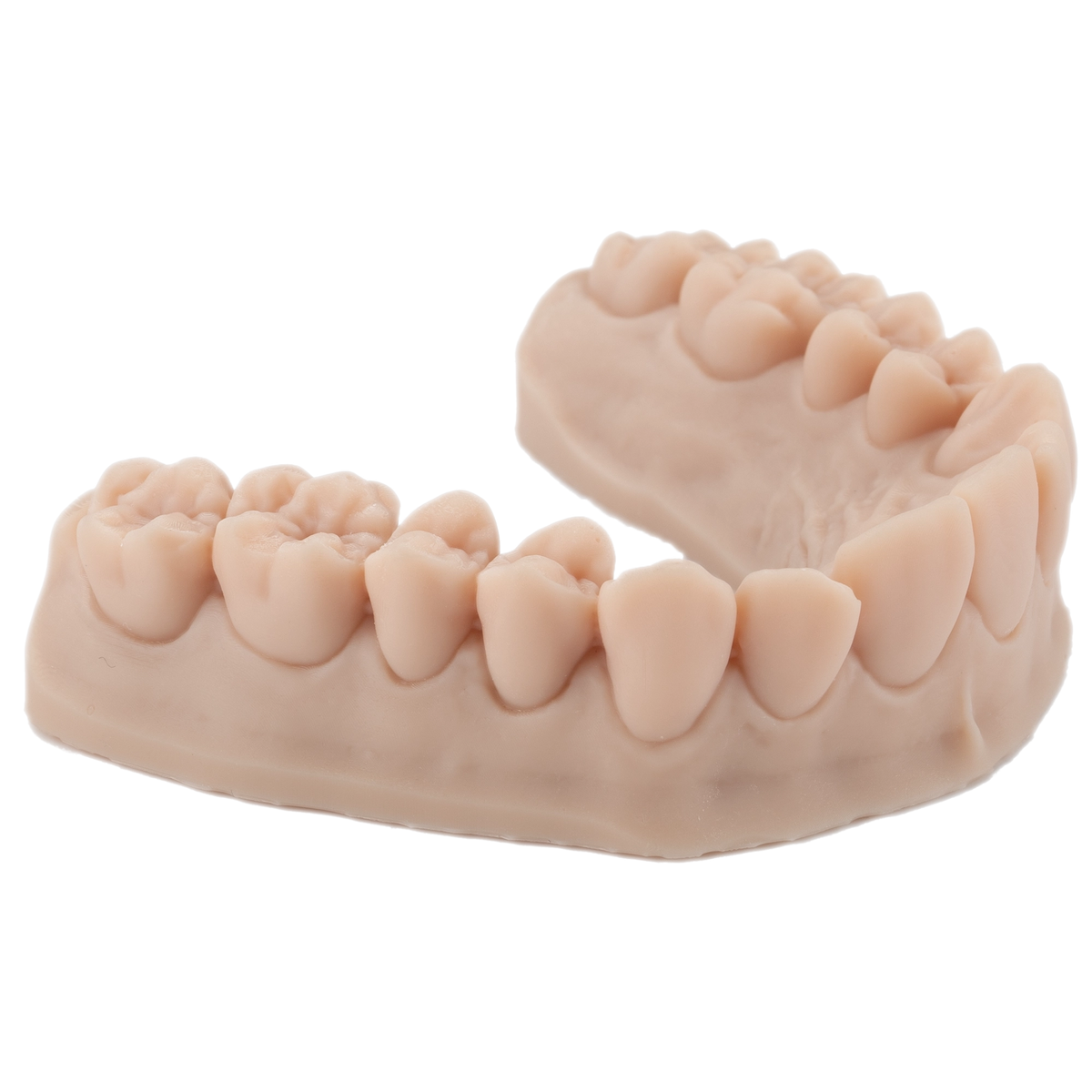 Resina de impresión 3D dental para modelos 1kg – DENTAL MODEL HP - ArmaResin