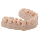 Resina de impresión 3D dental para modelos 1kg – DENTAL MODEL HP - ArmaResin