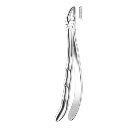 Davier prémolaires supérieures - uofti.com