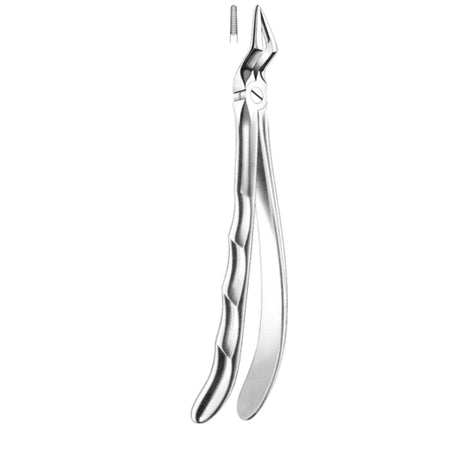 Davier racine supérieure - uofti.com