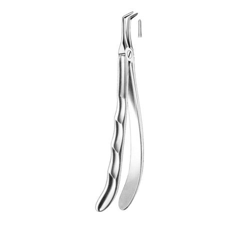 Davier extra fin pour racines supérieures - uofti.com
