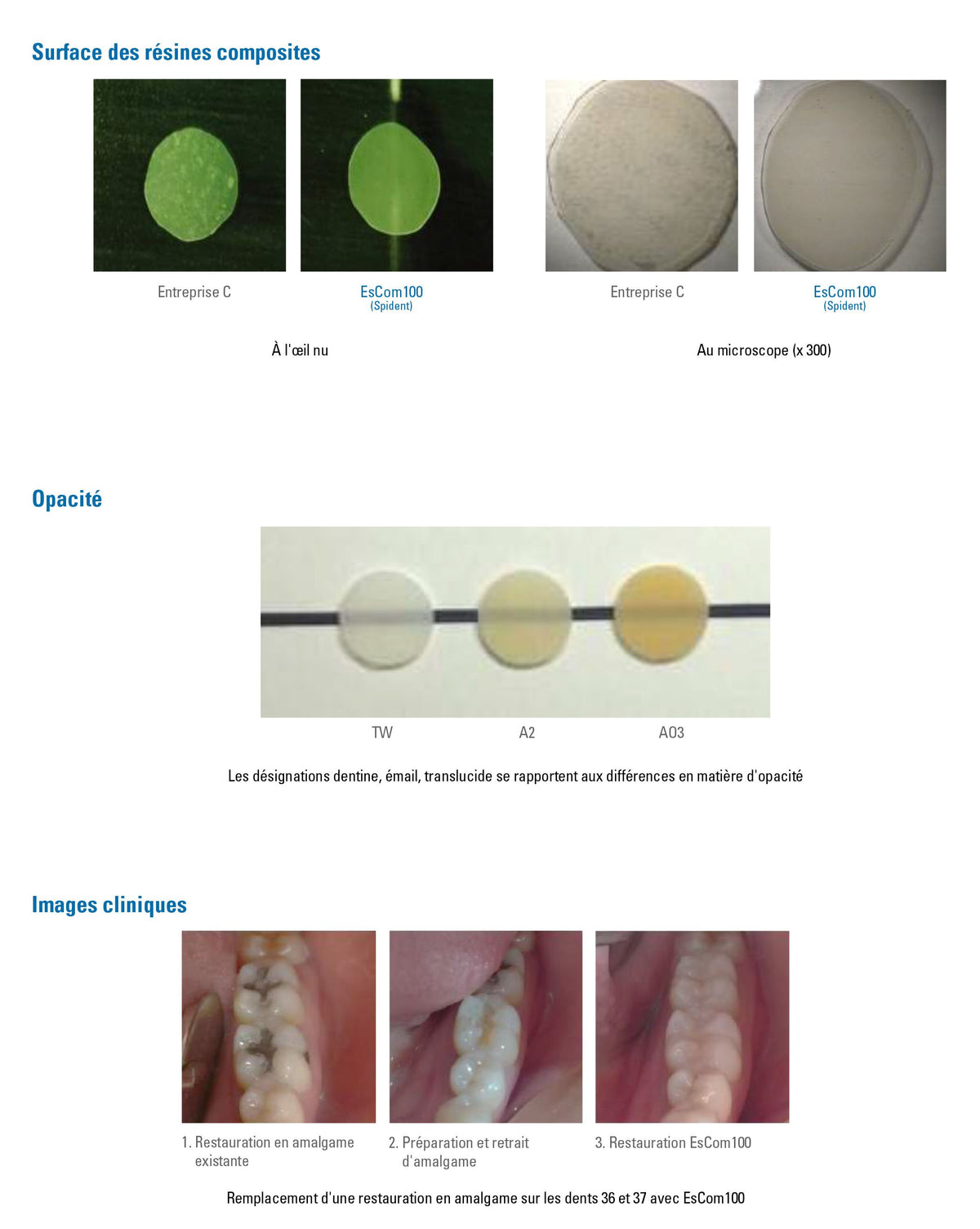 EsCom100 - A3.5 - 1x 4g Résine composite nano-hybride restauratrice photopolymérisable - uofti.com