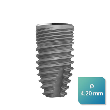 Safe Regular 4,20 mm de diamètre - uofti.com