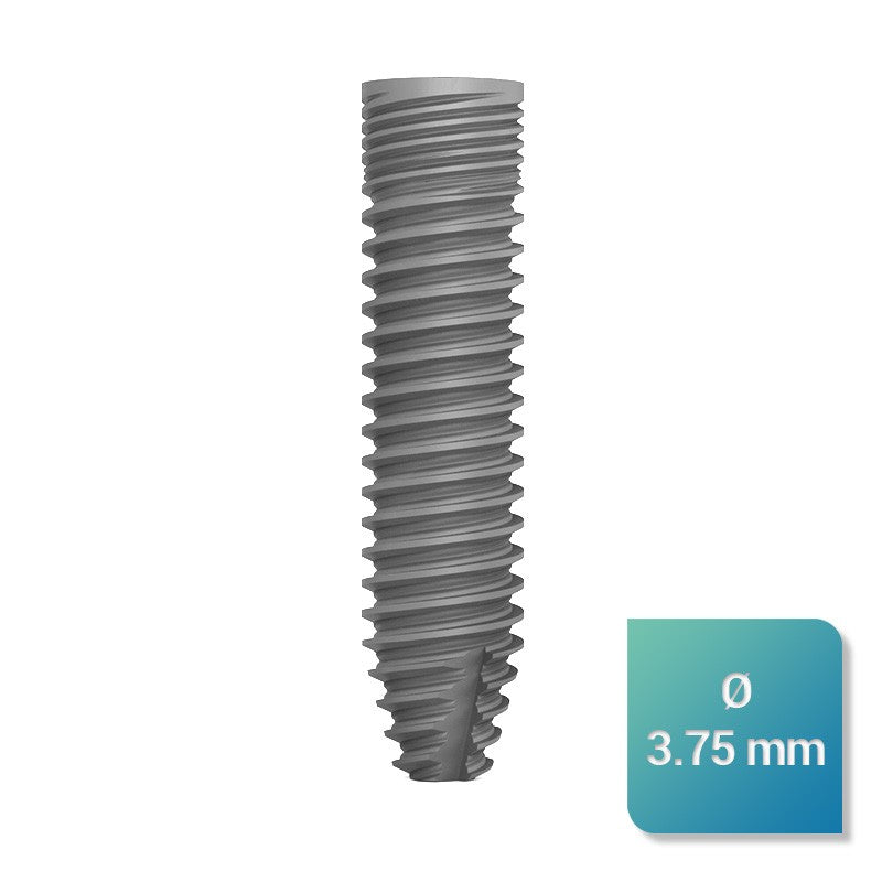 Safe Regular 3,75 mm de diamètre - uofti.com