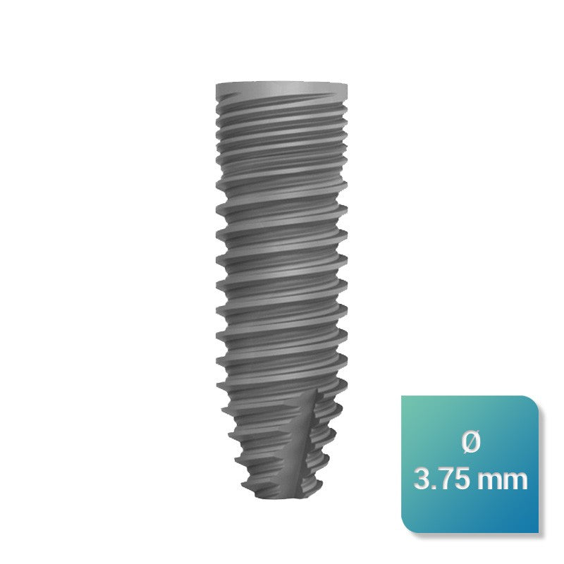 Safe Regular 3,75 mm de diamètre - uofti.com