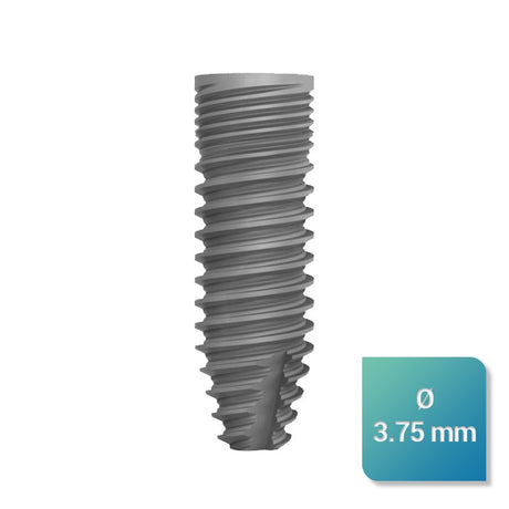 Safe Regular 3,75 mm de diamètre - uofti.com