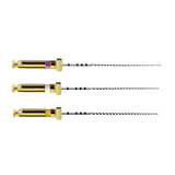 Pack de 6 limes PathFile 21 mm - Dentsply Sirona - uofti.com
