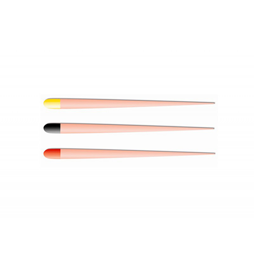 Pointes de gutta percha pour Reciproc (boîte de 60) - Dentsply Sirona - uofti.com