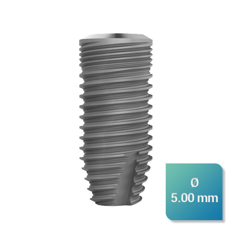 Safe Regular 5,00 mm de diamètre - uofti.com