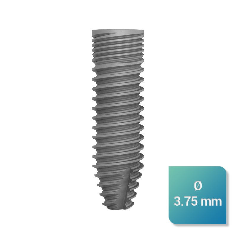 Safe Regular 3,75 mm de diamètre - uofti.com