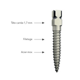 Europosts Inox Screw Post - Anthogyr