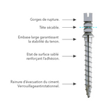 Europosts Titane Screw Post - Anthogyr