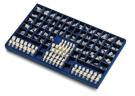 Couronnes polycarbonate - Kent Dental - uofti.com