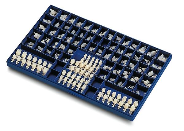 Couronnes polycarbonate - Kent Dental - uofti.com