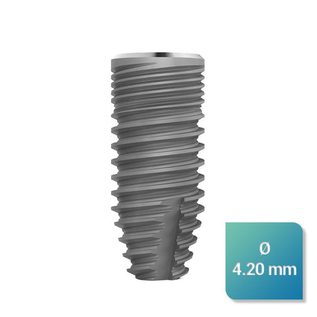 Safe Regular 4,20 mm de diamètre - uofti.com