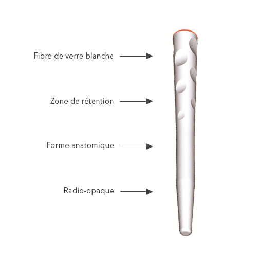 Fibio Glasfaserpfosten - Anthogyr