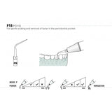 Insert PD10 compatible Satelec - WOODPECKER - uofti.com