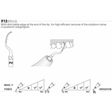 Insert PD12 compatible Satelec - WOODPECKER - uofti.com