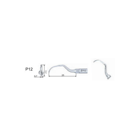 Insert PD12 compatible Satelec - WOODPECKER - uofti.com