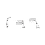 Insert GD2 compatible Satelec  ultrarésistant UR - WOODPECKER - uofti.com