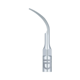 Insert P1 compatible EMS ultrarésistant UR - WOODPECKER - uofti.com