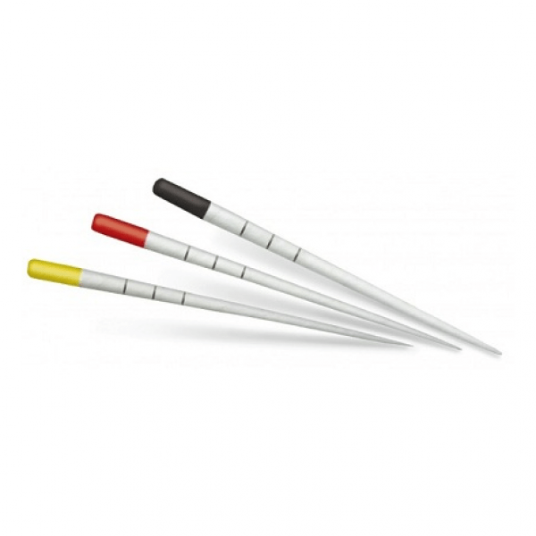 Pointes papier - Dentsply Sirona