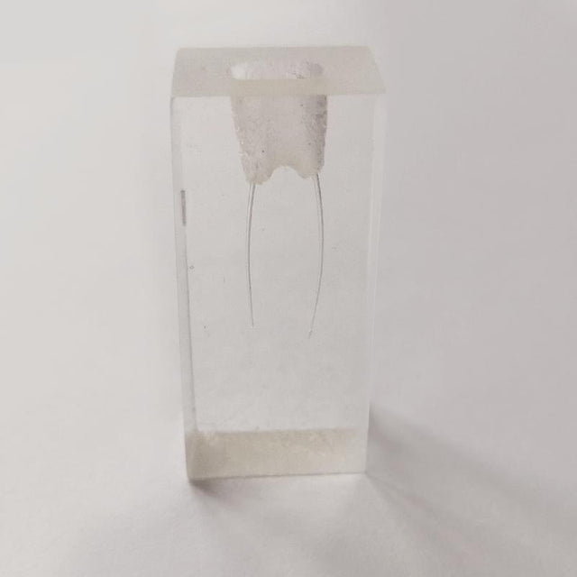 Bloc d'entrainement endodontie deux racines pour lime - uofti.com